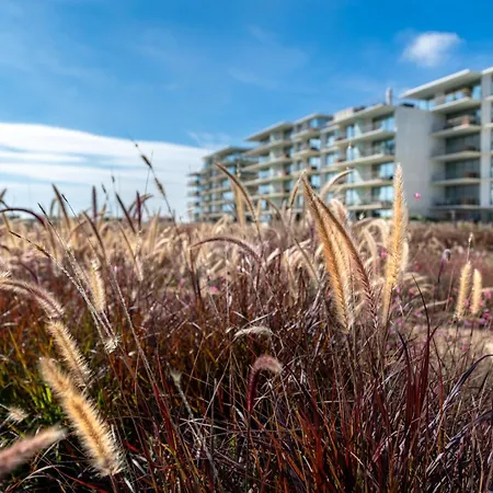 Blue Well Being Beachfront Pool And Raia - By Bedzy