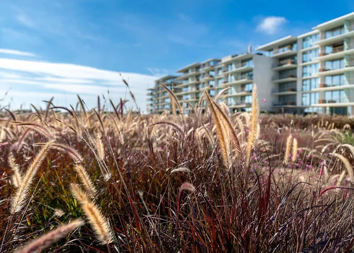 Blue Well Being Beachfront Pool And Raia - By Bedzy